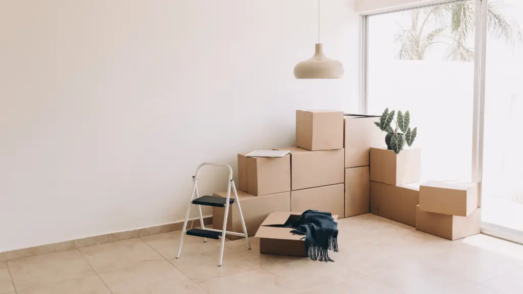 Move-out Cleaning illustration